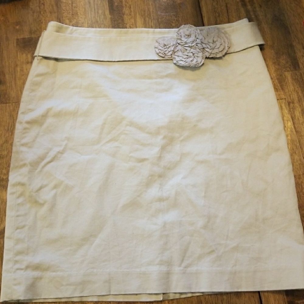 The Limited Skirt